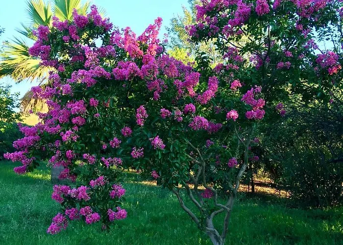 Eutuxia House * Corfu (city)